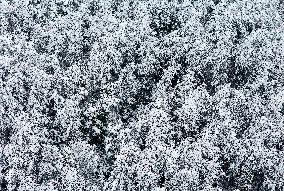 The Rime Scenery Along The Banks of the Grand Canyon in Qiandongnan