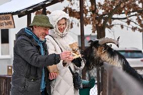 Animals of Shevchenkivskyi Hai in Lviv