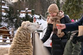 Animals of Shevchenkivskyi Hai in Lviv