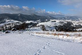 Winter in Carpathians