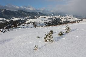 Winter in Carpathians