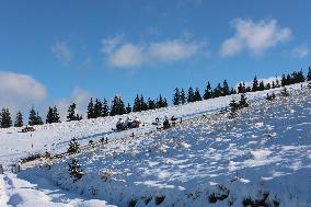 Winter in Carpathians