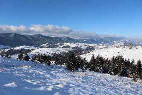 Winter in Carpathians