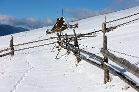 Winter in Carpathians
