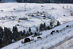 Winter in Carpathians