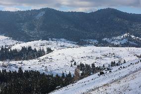 Winter in Carpathians