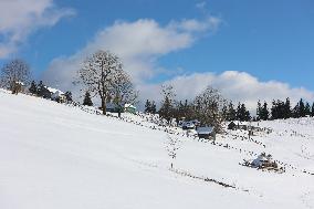 Winter in Carpathians