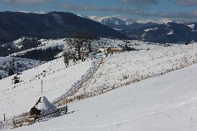 Winter in Carpathians