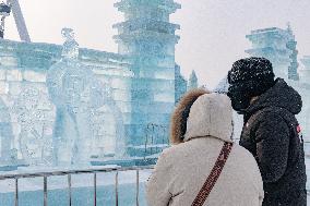 CHINA-HEILONGJIANG-HARBIN-ICE SCULPTURE-TERRACOTTA WARRIORS (CN)