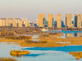 Xishuanghu Wetland Park Urban Ecological Landscape in Lianyunang