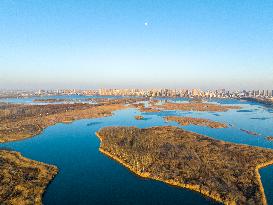 Xishuanghu Wetland Park Urban Ecological Landscape in Lianyunang