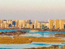 Xishuanghu Wetland Park Urban Ecological Landscape in Lianyunang