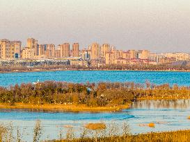 Xishuanghu Wetland Park Urban Ecological Landscape in Lianyunang