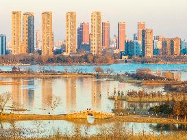 Xishuanghu Wetland Park Urban Ecological Landscape in Lianyunang