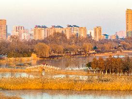 Xishuanghu Wetland Park Urban Ecological Landscape in Lianyunang