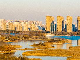 Xishuanghu Wetland Park Urban Ecological Landscape in Lianyunang