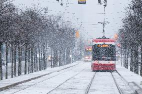 Snowfall in Toronto, Canada