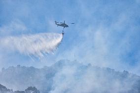 Hot days in Bogota Burst a Wildfire