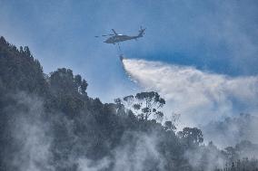 Hot days in Bogota Burst a Wildfire