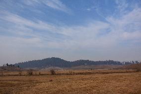 Dry Winter Season In Kashmir