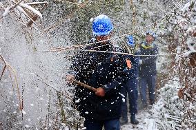 Low Temperature Freezing Disaster Level IV Emergency Response in Liuzhou