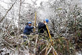 Low Temperature Freezing Disaster Level IV Emergency Response in Liuzhou