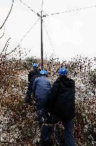 Low Temperature Freezing Disaster Level IV Emergency Response in Liuzhou