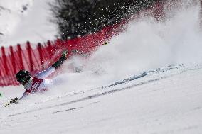 (SP)SOUTH KOREA-JEONGSEON-WINTER YOUTH OLYMPIC GAMES-ALPINE SKIING