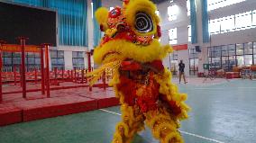 CHINA-GUANGXI-NANING-LION DANCE(CN)