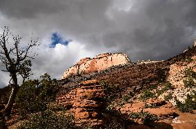 Zion National Park - Utah