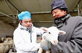 Livestock And Veterinary Workstation in Zhangye