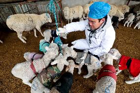 Livestock And Veterinary Workstation in Zhangye