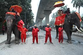 Rental Elephants In Dhaka