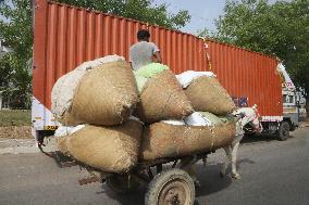 Daily Life In Agra, India