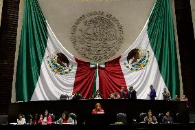 Mexico’s Human Rights Chief Rosario Piedra Ibarra Annual Activities Report