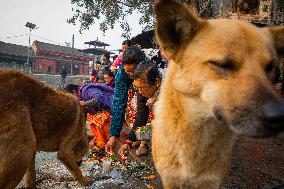 Month Long Madavnarayan Festival Celebrated In Nepal