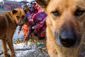 Month Long Madavnarayan Festival Celebrated In Nepal