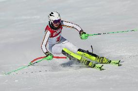 (SP)SOUTH KOREA-JEONGSEON-WINTER YOUTH OLYMPIC GAMES-ALPINE SKIING