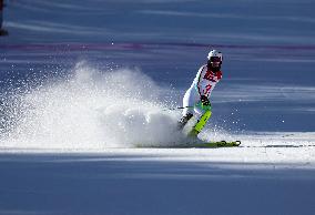 (SP)SOUTH KOREA-JEONGSEON-WINTER YOUTH OLYMPIC GAMES-ALPINE SKIING