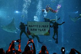 SINGAPORE-LUNAR NEW YEAR-DRAGON DANCE