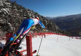 (SP)SOUTH KOREA-JEONGSEON-WINTER YOUTH OLYMPIC GAMES-ALPINE SKIING