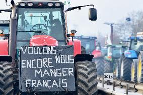 Farmers Protest - Strasbourg