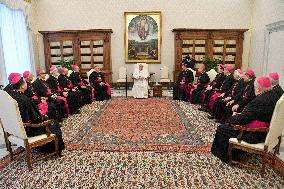 Pope Francis During Private Audience - Vatican