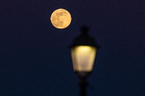Wolf Moon In San Cataldo, Italy