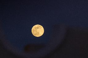 Wolf Moon In San Cataldo, Italy