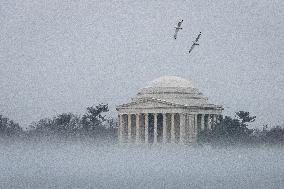 Rapid warm-up causes dense fog in Washington, DC