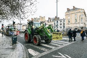 Farmers Protest - Rennes