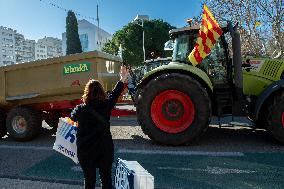 Farmers Protest - Toulon