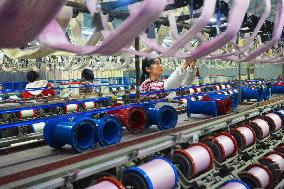 A Silk Production Enterprise in Anqing