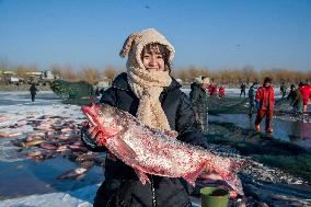 Winter Fishing at Wolong Lake in Shenyang